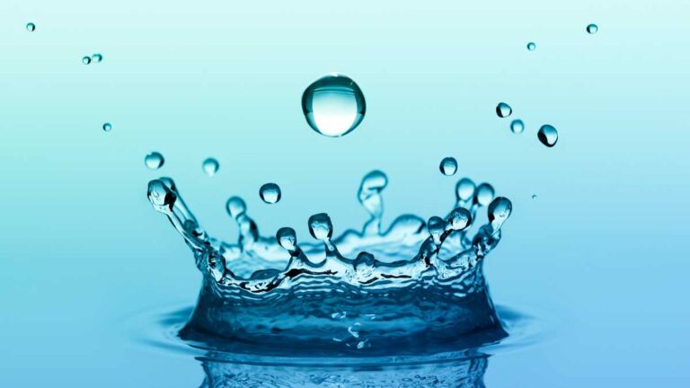Qual a diferença entre água pura e água potável