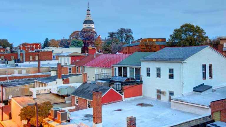 Tênis Maryland