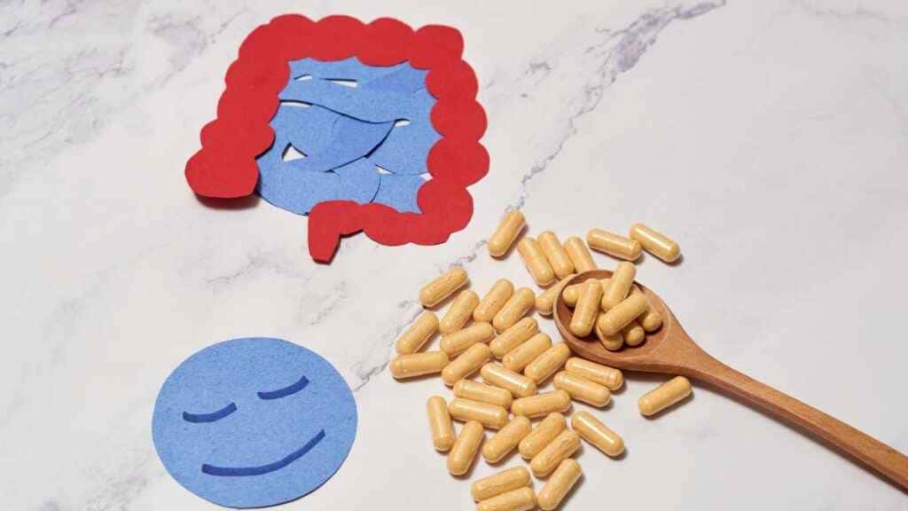 Melhores Probióticos para Saúde Intestinal: Guia de Compra Melhores Probióticos para Saúde Intestinal
