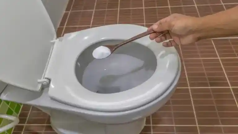 Qual o Melhor Produto para Desentupir Vaso Sanitário