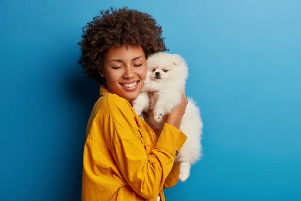 Cuidados diários que fazem diferença no bem-estar do pet Cuidados diários que fazem diferença no bem-estar do pet
